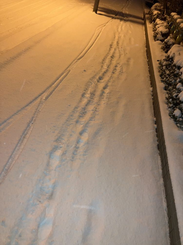 通勤時の雪道の様子