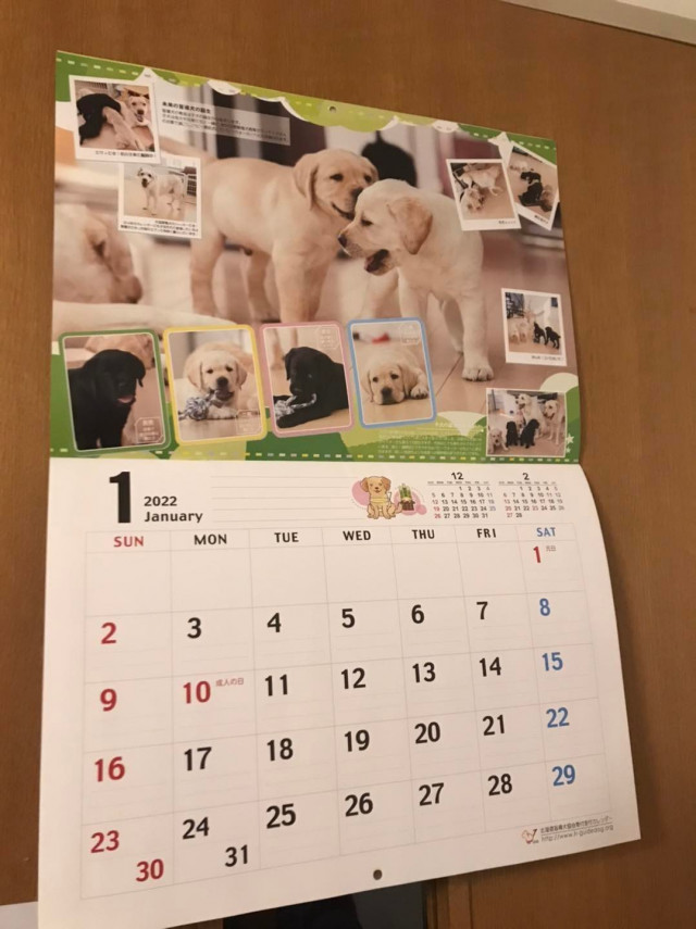盲導犬カレンダー　2022年1月分