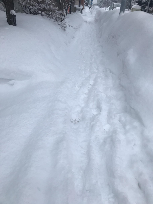 除雪前の雪が積もった歩道